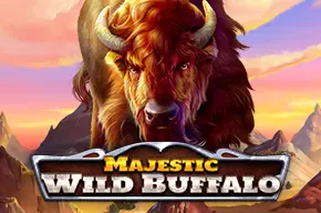 wild buffalo
